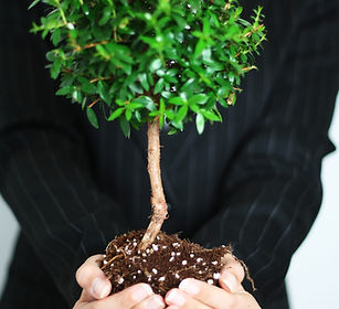 Business Growth