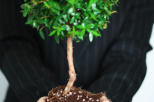 Business Growth