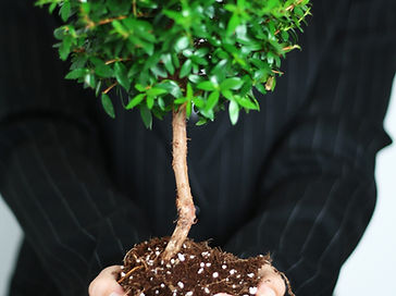 PARTICIPACIÓN COMUNITARIA Y ASOCIACIONES