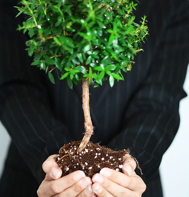 Business Growth