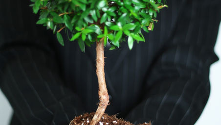 Come costruire il tuo growth mindset in 6-step