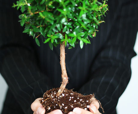 Business Growth
