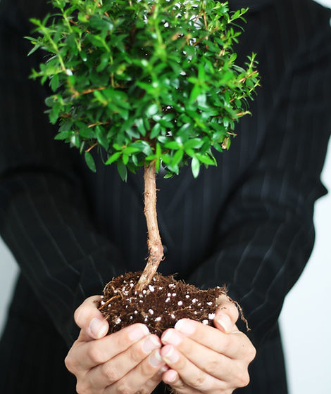 Business Growth