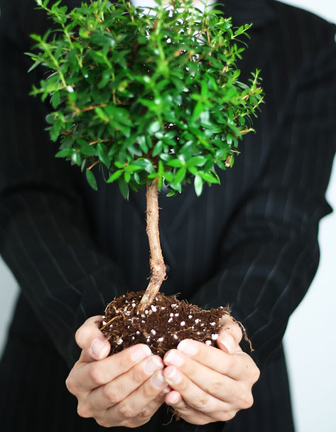 A man holding a tree, with roots, in the palm of his hand