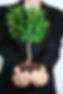 Business Growth