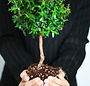 Business Growth