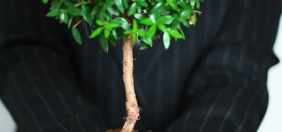 Business Growth