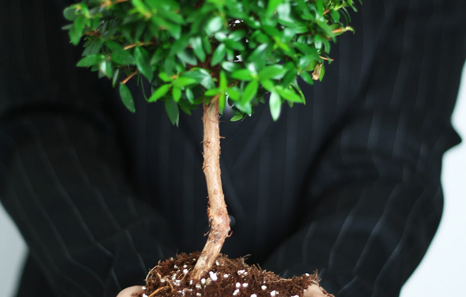 Business Growth