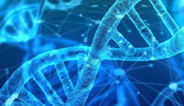 NAD dna repair