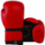 Thumbnail: HVBA Boxing Gloves