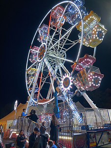 IMG_4658 (1).png