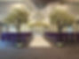Beautiful blossom and canopy trees available to hire for your wedding, birthday party or even corporate event. Covering all around the North West, Cheshire and Lancashire areas.