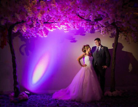 Beautiful blossom and canopy trees available to hire for your wedding, birthday party or even corporate event. Covering all around the North West, Cheshire and Lancashire areas.