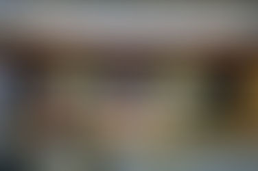 VT Seva North Jersey – 2025 Annual Event Highlights