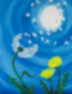_DSC0426 2.jpeg