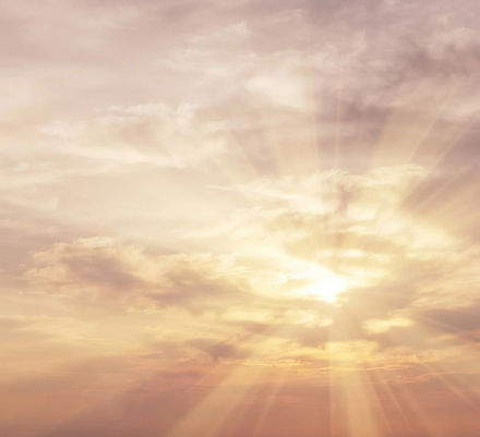 make the background cream_white, golden hues and a little bit of dusky pink..jpg