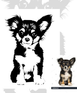 cute dog illustration1