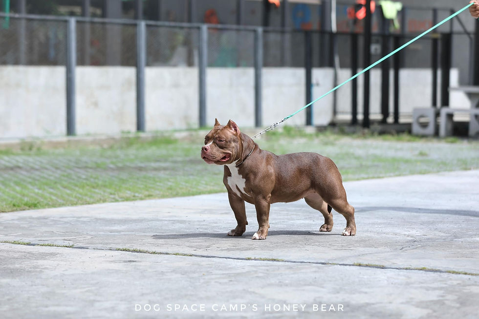 283518885_10159855790333058_7862346367572834077_n