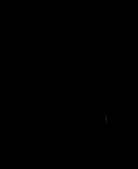 IMG_0439.gif