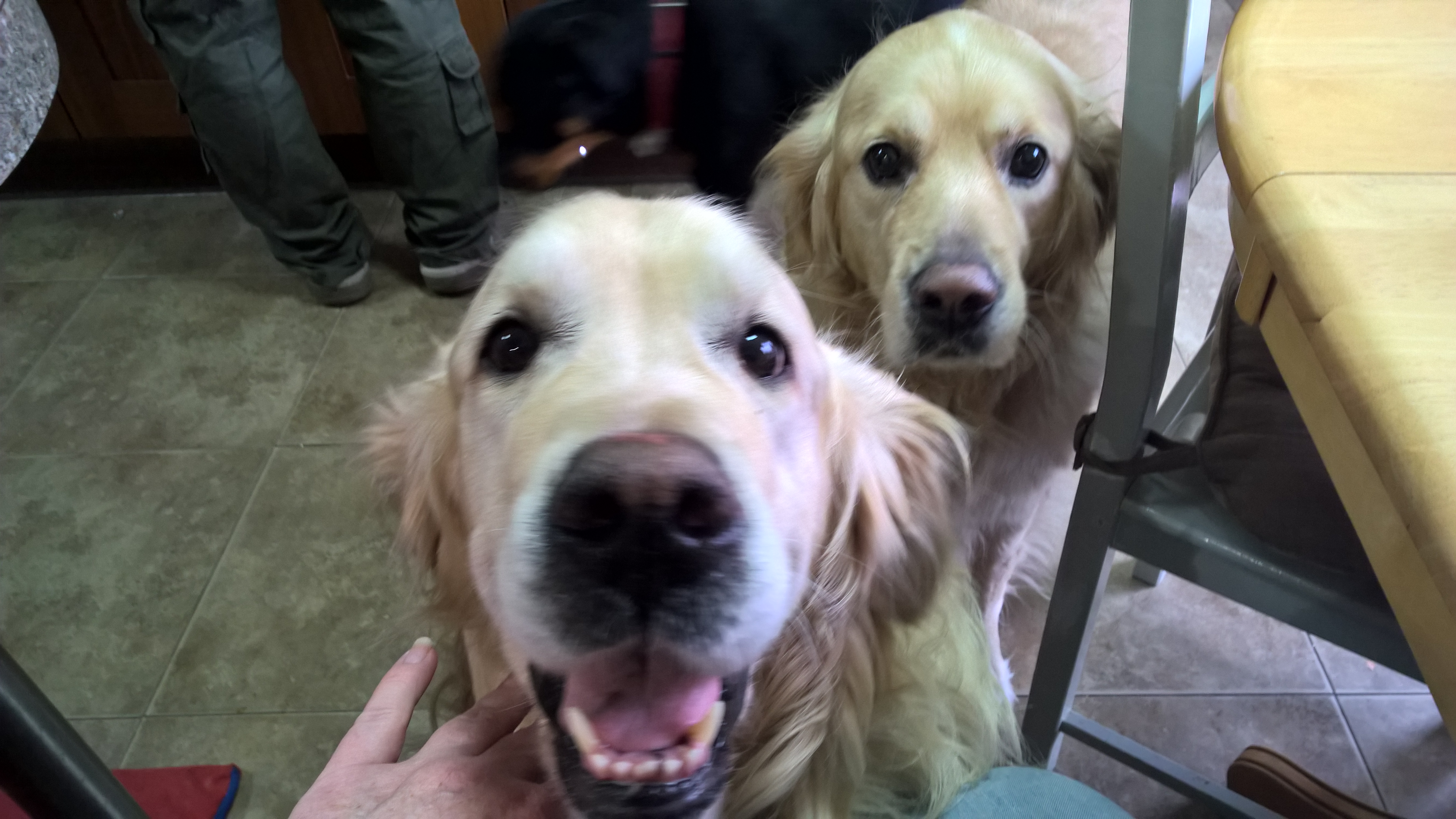 Alfie & Connor