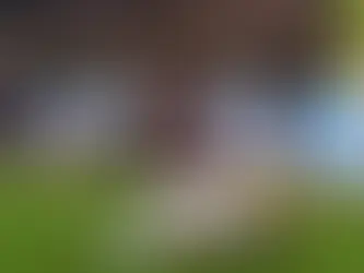 Aston Villa 3 x 2 Everton