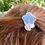 Miniature : Barrettes fleurs