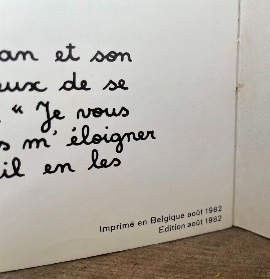 Miniature : Livre 2 oursons en promenade