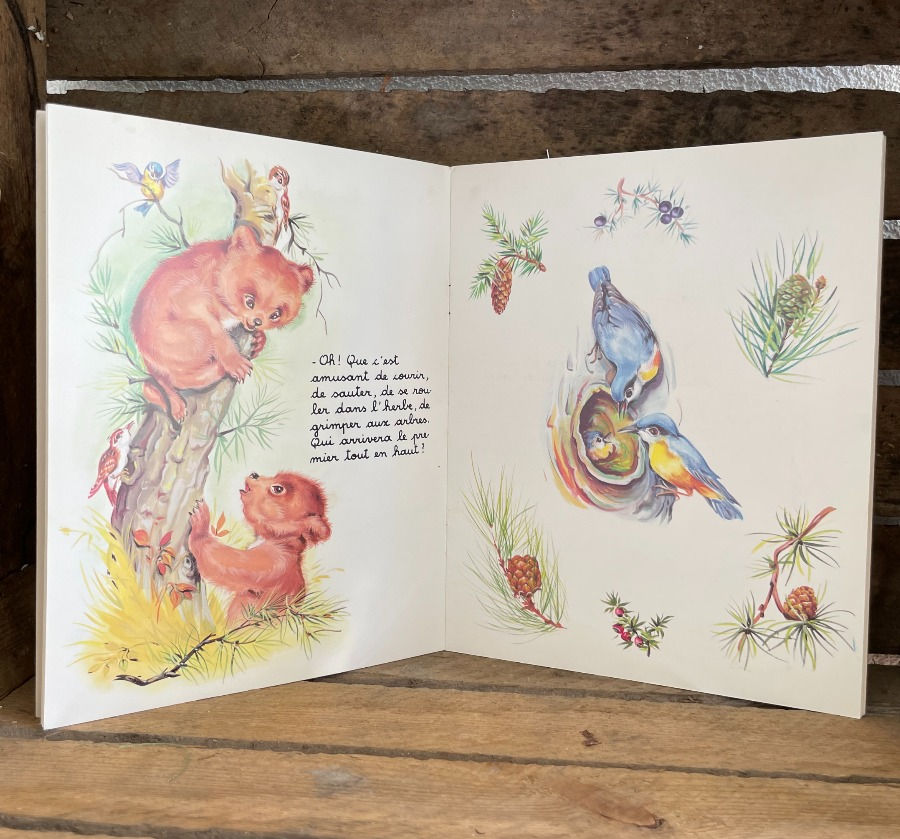 Miniature : Livre 2 oursons en promenade