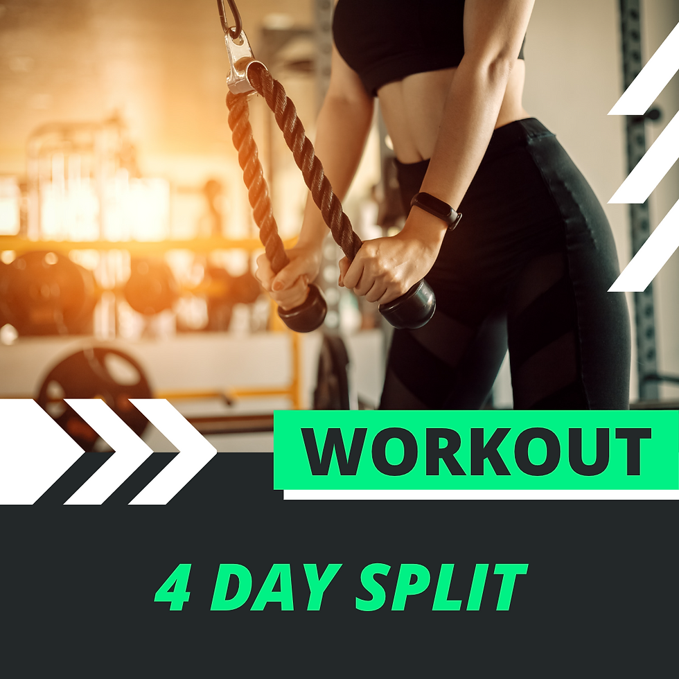 4 Day Split Program