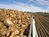 Philippines Livestock Industry gains access to new a fibre source from Poland After CFPR Approval​