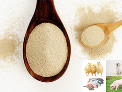 Trained Immunity in Farm Animals: A New Role for Yeast β-Glucans