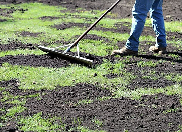 top-dressing-lawn.jpeg