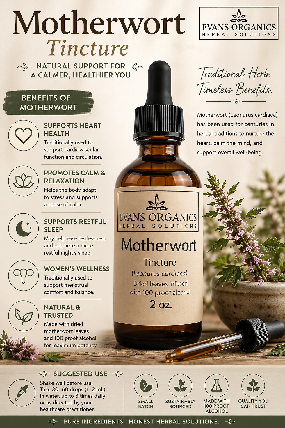 Thumbnail: Motherwort Tincture for Menstrual cramps, Blood Pressure and Anxiety -  2 oz