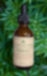 Cleavers Tincture