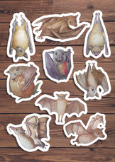 African Fruit Batss tickers.jpg