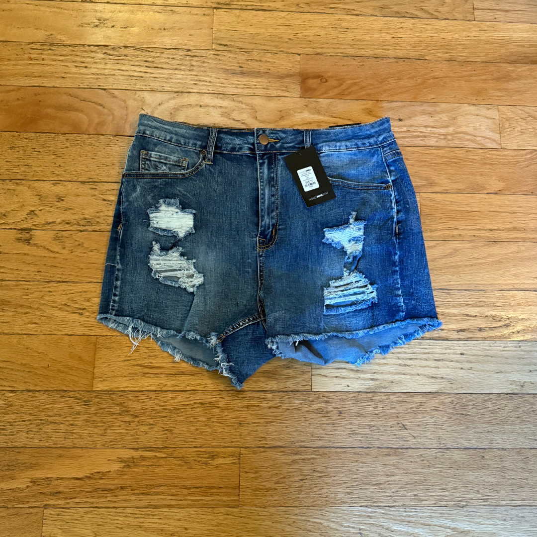 1X Fashion Nova Ripped Jean Shorts