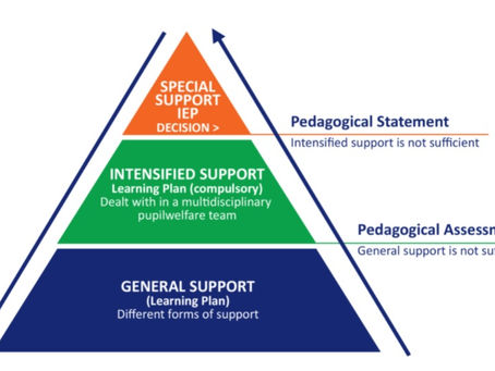 1P00CZ85: Special Education (Special Needs Education)