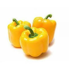 Yellow Capsicums 黄大力