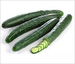 Japanese Cucumber 日本青瓜