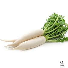 White Radish 白萝卜