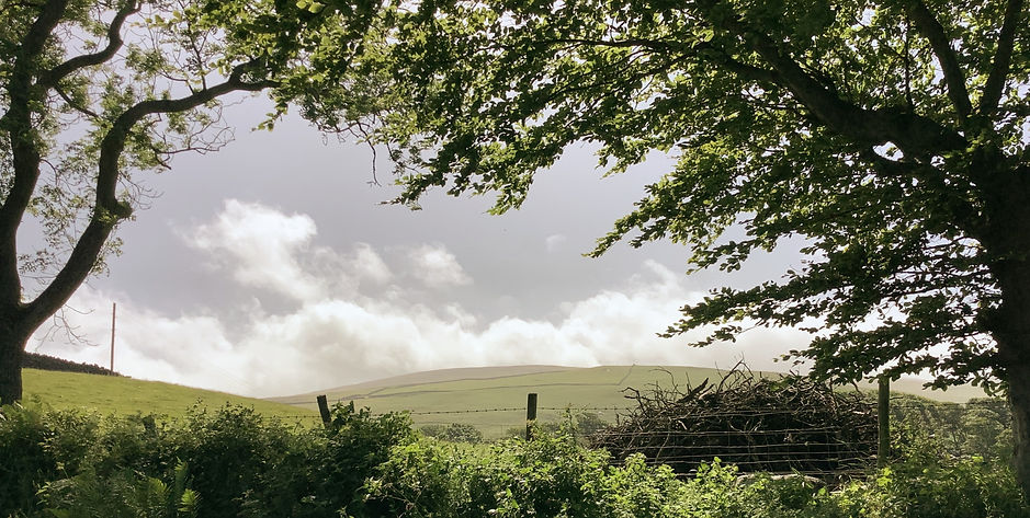 Home | My Site 3
