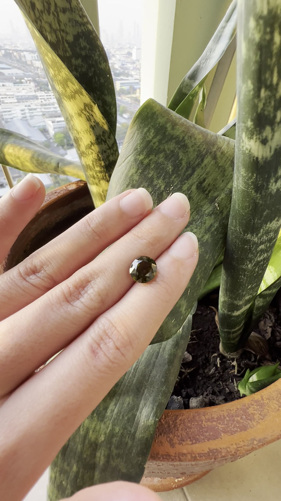 Thumbnail: Olive Green Tourmaline