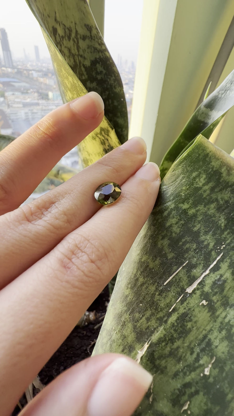 Thumbnail: Bi-color Green Tourmaline