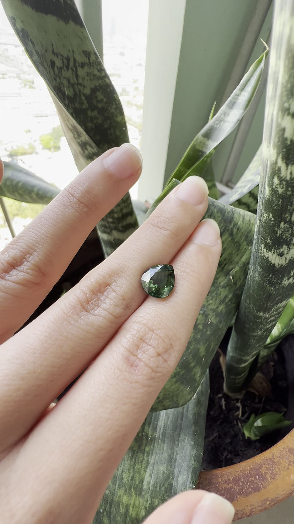 Thumbnail: Forest Green