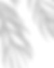 coming soon.jpg