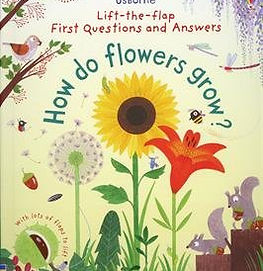 Lift-the-Flap First Questions and Answers: How Do Flowers Grow? by Katie Daynes, interactive STEM and nature book for children featuring flowers, pollinators and plant life cycles.