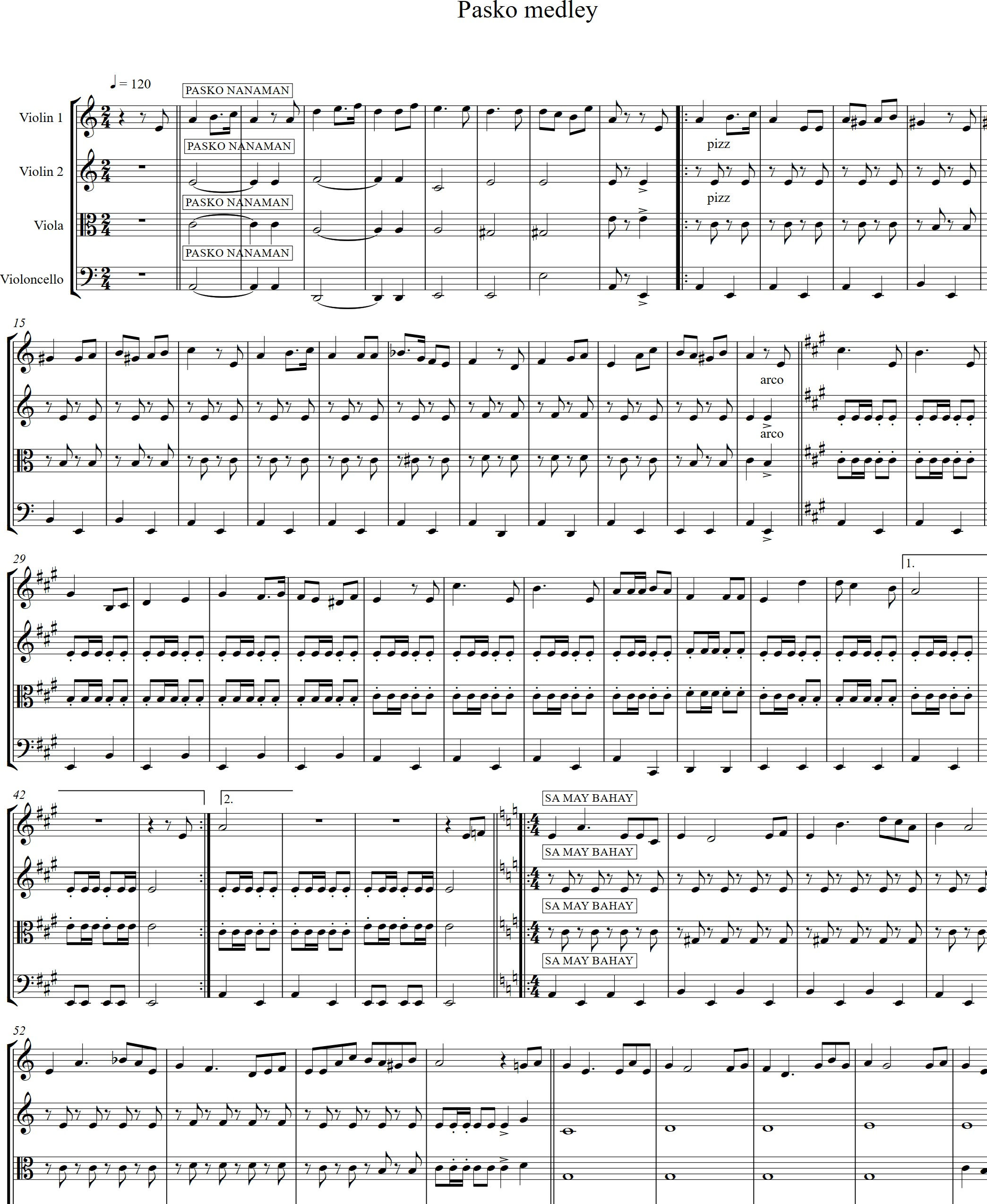 Pasko Medley String Quartet