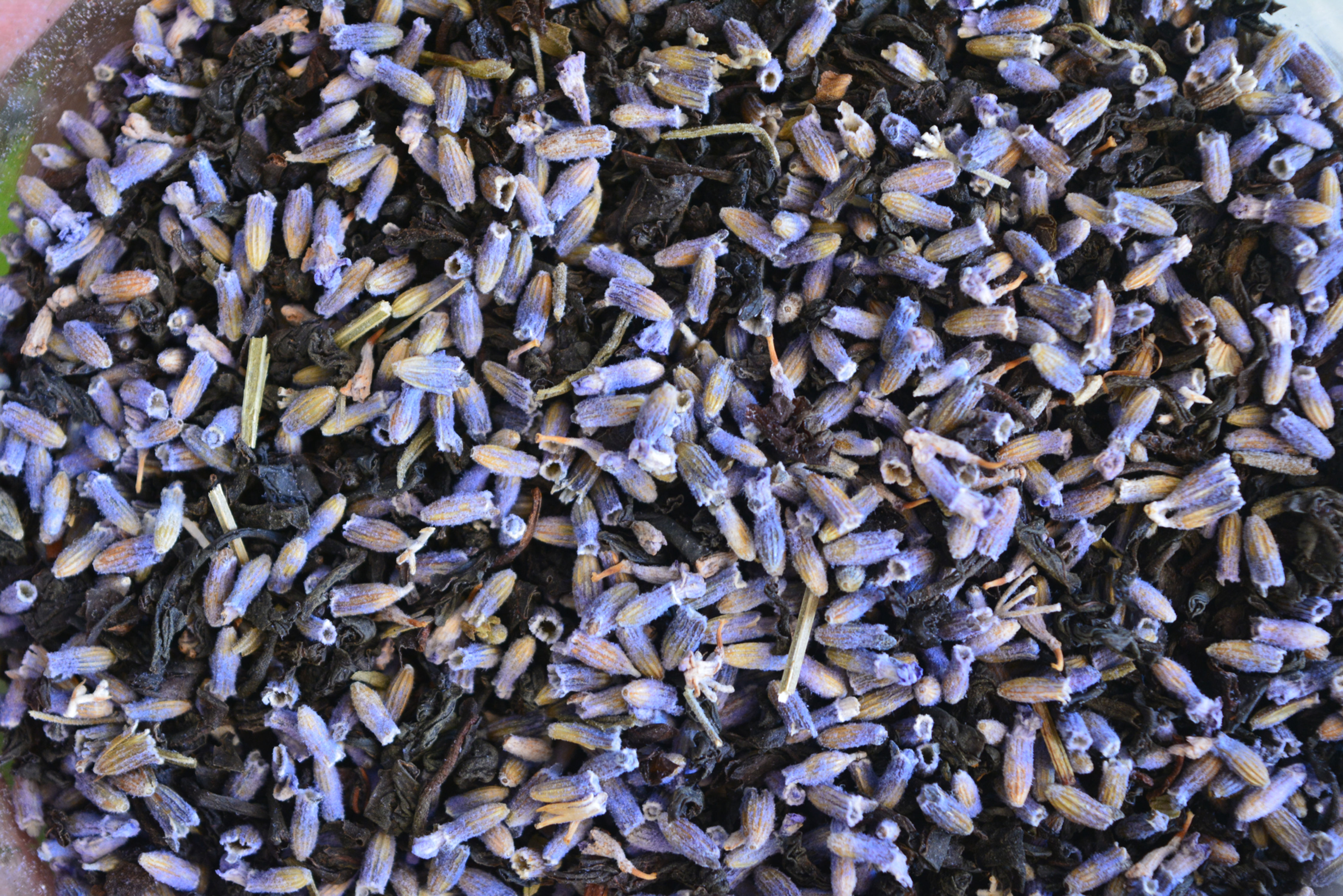 Lavender Earl Grey