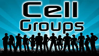cell-groups.jpeg