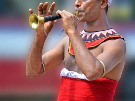 Discover the Beauty of Sri Lanka: A Comprehensive Travel Guide